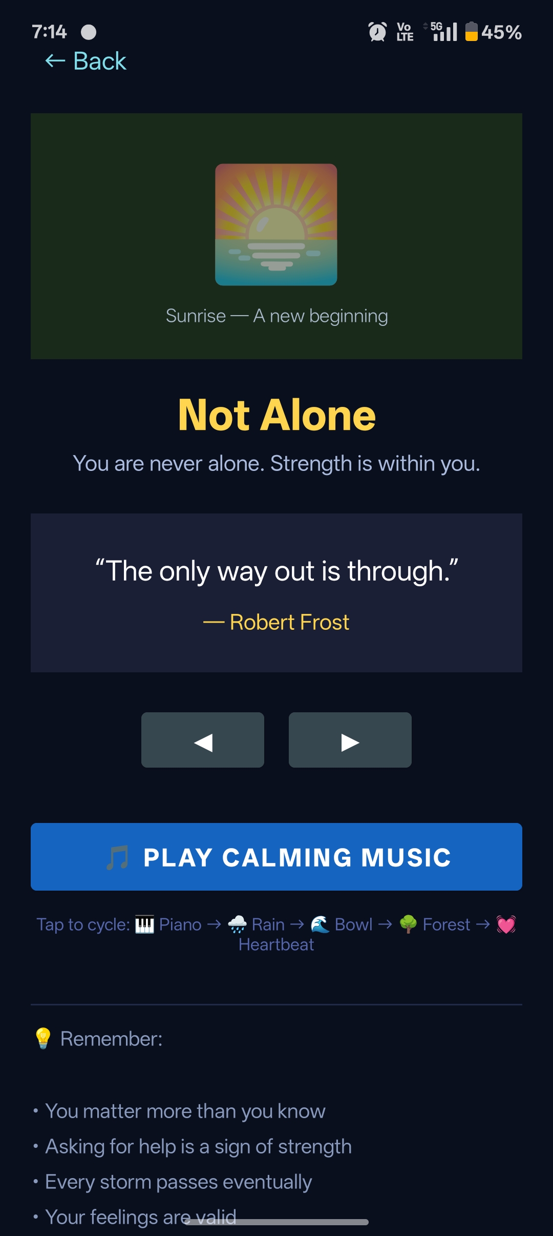Not Alone Module